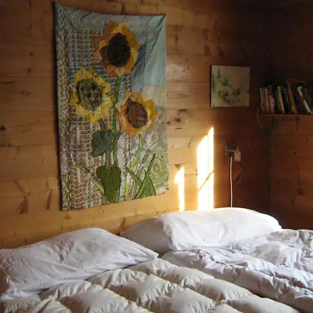 Sunneschy 1- Og Sued By Interhome 公寓